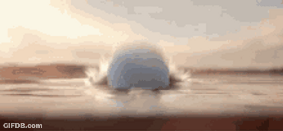 Baby Squirtle Being Cute GIF