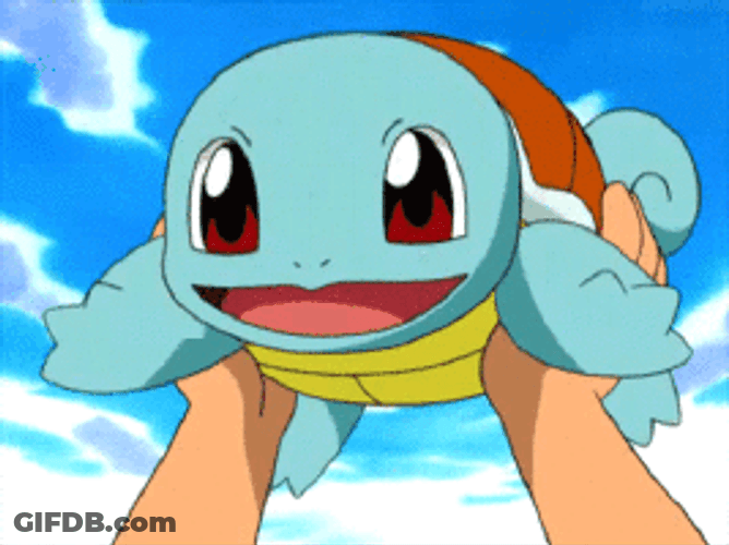 Baby Squirtle Being Held GIF