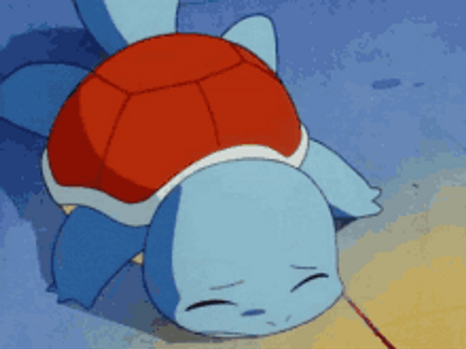 Baby Squirtle With Sad Face GIF