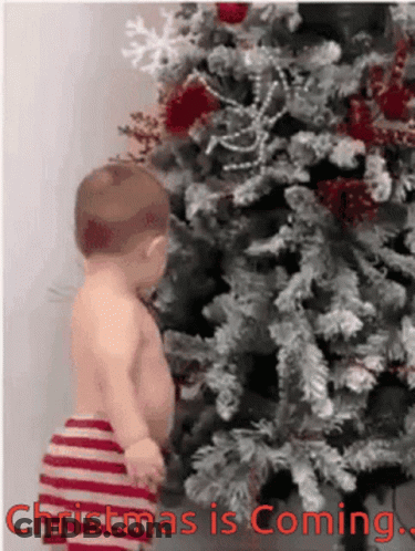 Baby Standing In Front Of Christmas Tree With Christmas Is Coming GIF