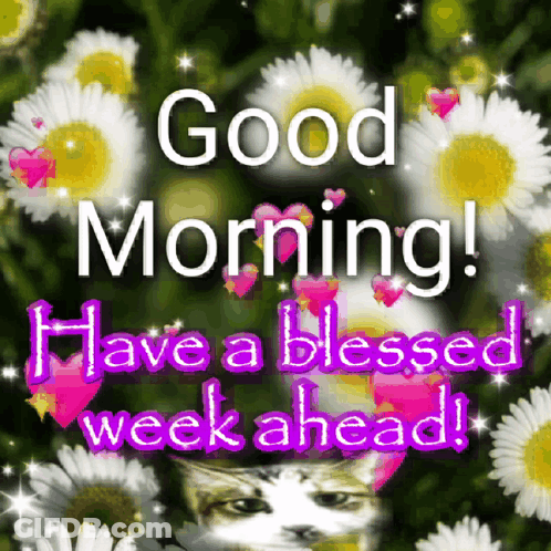 Baby Walking When Remember It's Monday Love Ya GIF