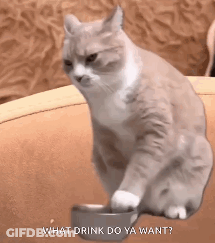Baby Walking With Not Today Son GIF