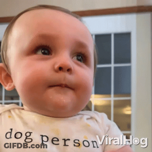 Baby Wearing Dog Person Shirt GIF