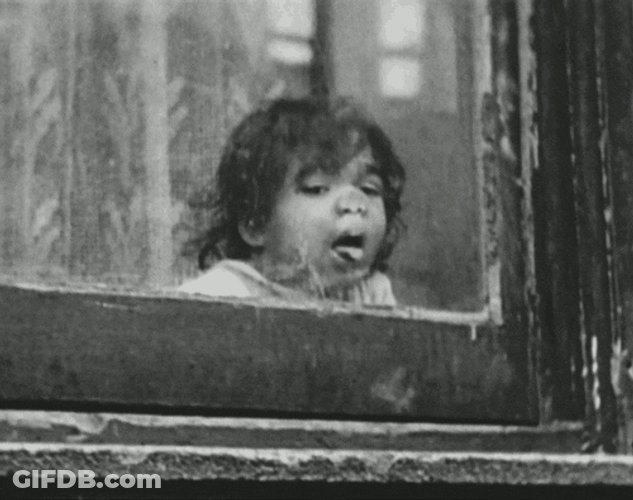 Baby Window Licker Black And White GIF