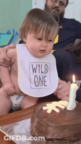 Baby With Bib Saying Wild One GIF