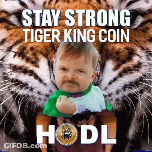 Baby With Mustache Sitting In Front Of Tiger Saying Stay Strong Tiger King Coin GIF
