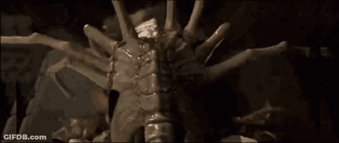 Baby Xenomorph On The Face GIF