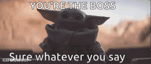 Baby Yoda Saying You're The Boss GIF
