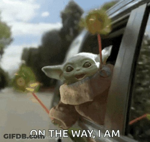 Baby Yoda Sticking Head Out Car Window GIF