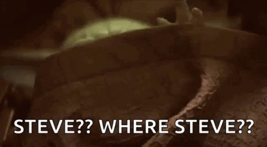 Baby Yoda Where Steve GIF