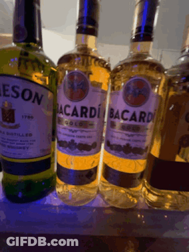 Bacardi Bottles Lined Up On Shelf GIF