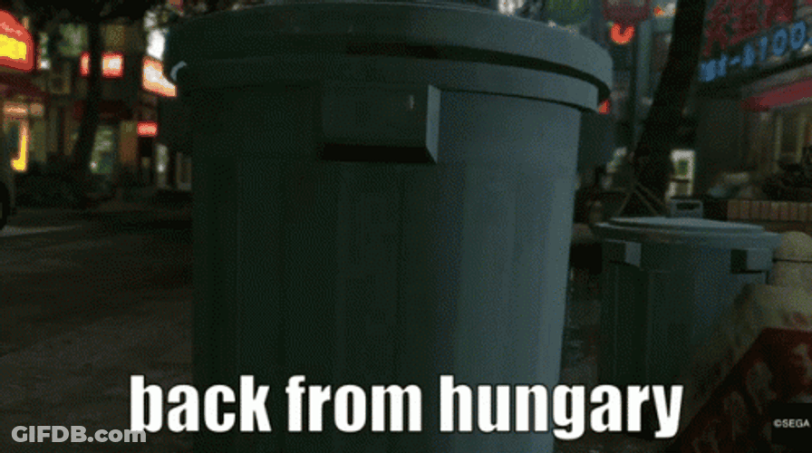 Back From Hungary Yakuza Majima GIF