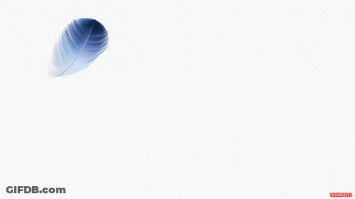 Back Of Black Apple Laptop GIF