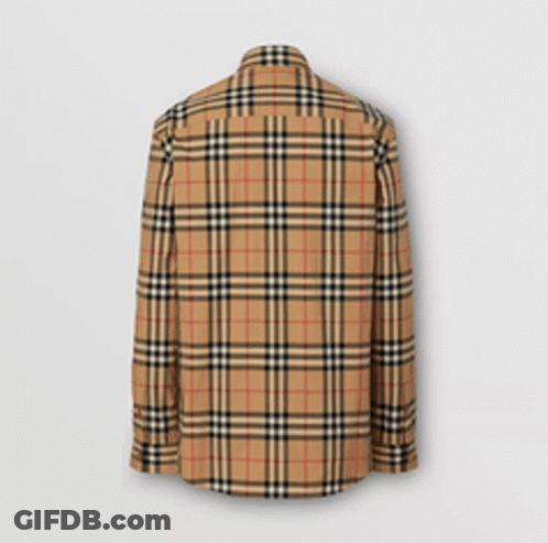 Back Of Burberry Plaid Shirt GIF
