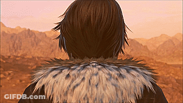 Back Of Person In Fur Coat Looking At Mountains GIF