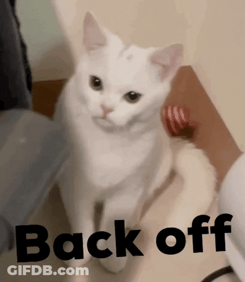 Back Off Angry White Cat GIF