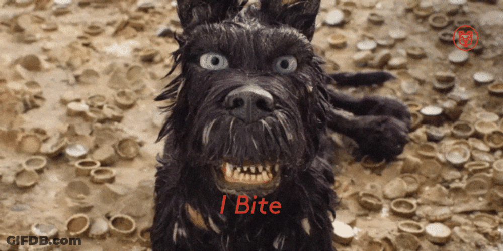 Back Off The Dog Bite GIF