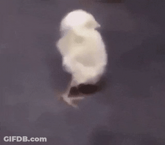 Back Pain GIF