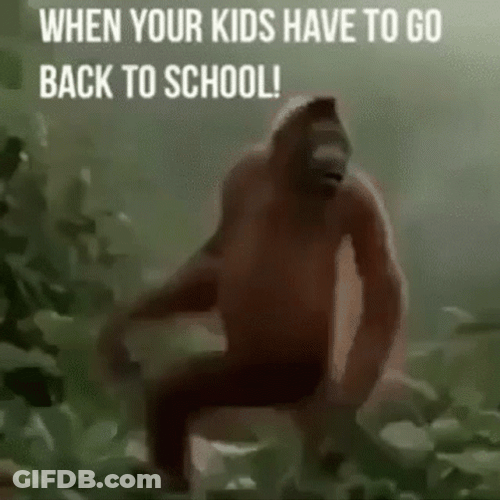 Back To School Happy Orangutan GIF