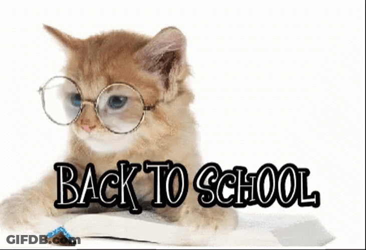 Back To School Kitty GIF