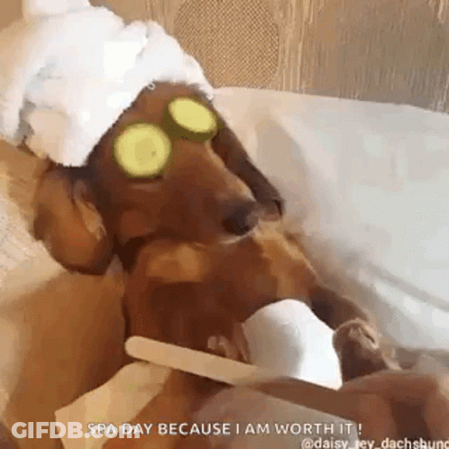 Back To The 90S GIF
