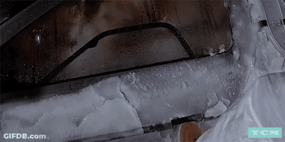 Back To The Future Dog Inside Delorean GIF