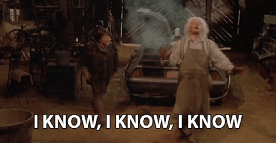 Back To The Future I Know GIF