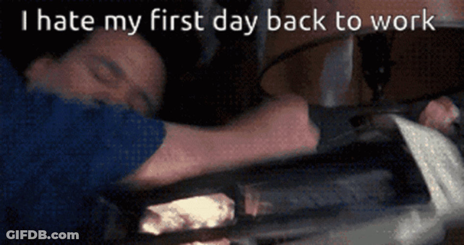 Back To Work Monday Bill Murray GIF