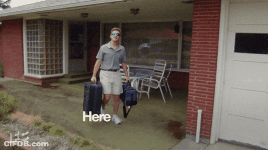 Back To Work Tim Robinson GIF