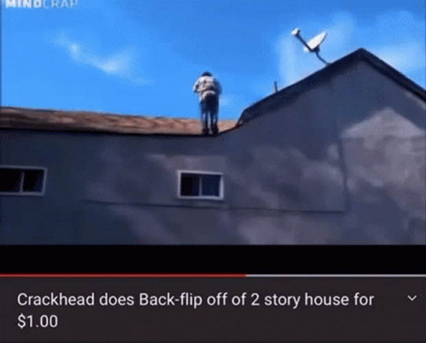 Backflip Crazy Crackhead Unharmed GIF