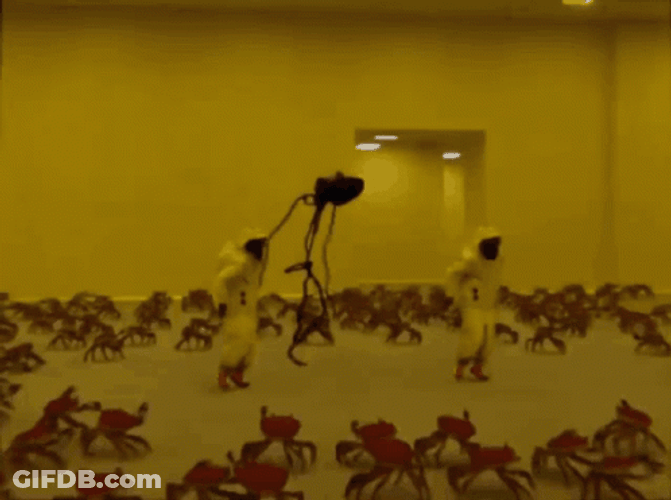 Backrooms Crab Rave Dancing GIF