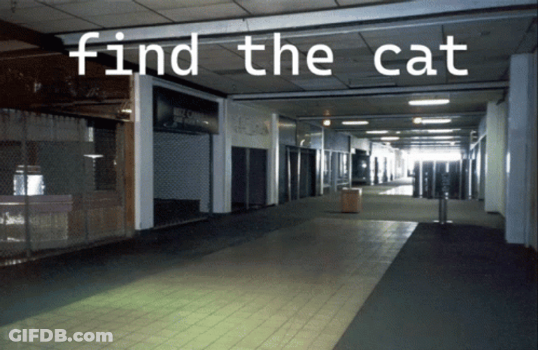 Backrooms Find The Cat Meme GIF