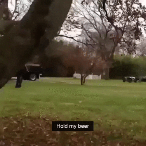 Backyard Car Stunt Hold My Beer GIF