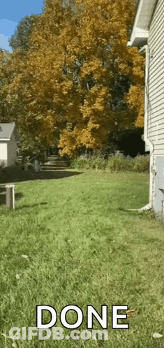 Backyard With Done Sign GIF