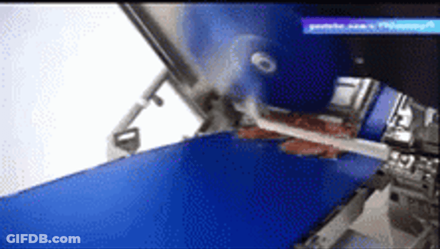Bacon On The Process GIF