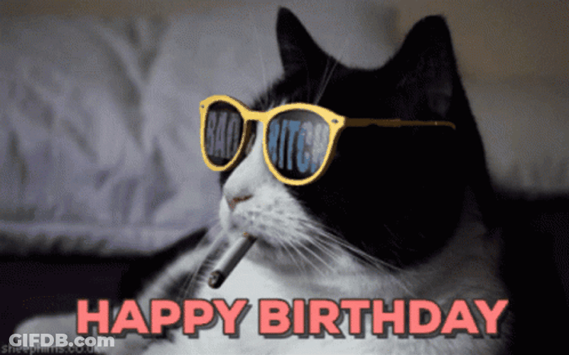 Bad Bitch Happy Birthday Cat GIF