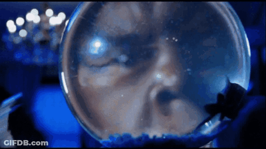 Bad Boys 2 Marcus Burnett Looking Through Fishbowl GIF