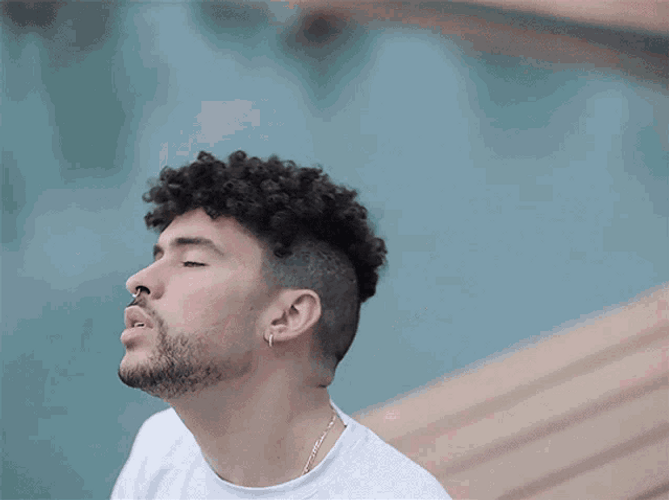 Bad Bunny Heads Up GIF
