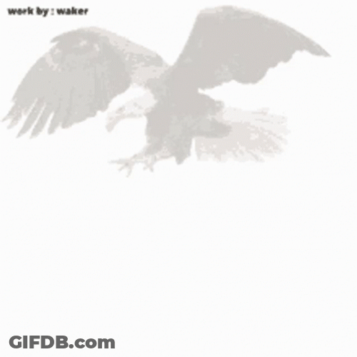 Bad News Eagle Appearing Graphics Art GIF