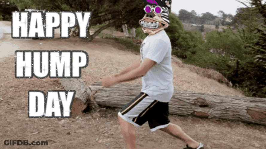 Baddogs Happy Hump Day Meme GIF