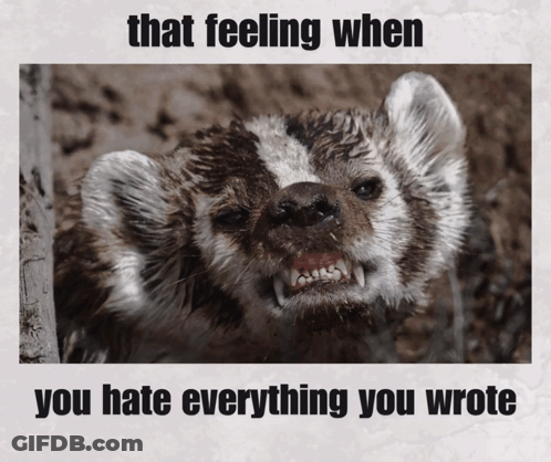 Badger That Feeling When You Hate Everything You Wrote GIF