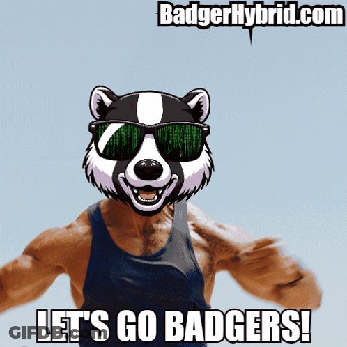 Badger Wearing Sunglasses Let's Go Badgers GIF