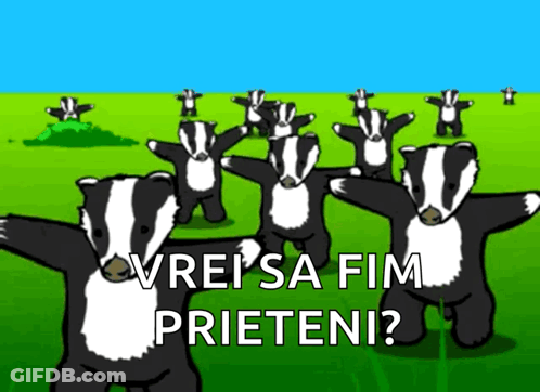Badgers Dancing With Vrei Sa Fim Prieteni GIF