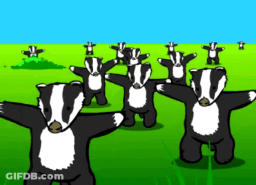 Badgers Standing On A Poster GIF
