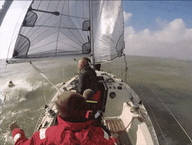 Badly Gonna Need A Bigger Boat GIF