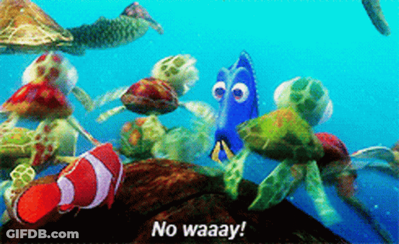 Baffled Dory GIF