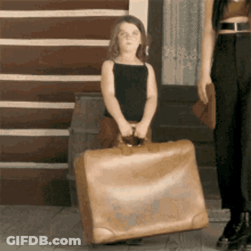 Bag Bags GIF