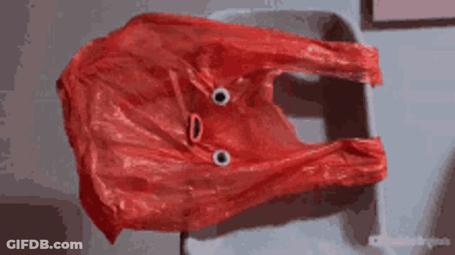 Bag Bags GIF