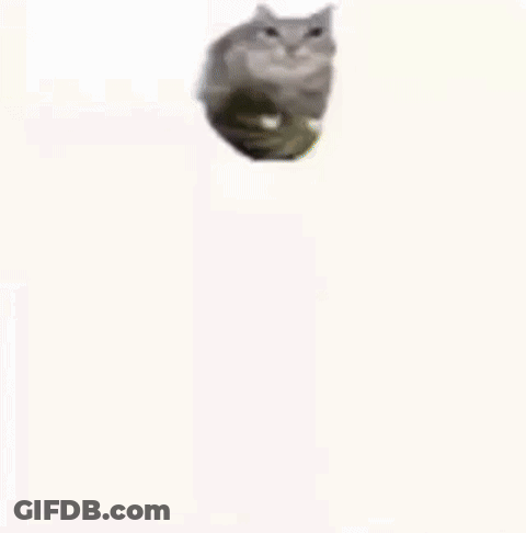 Bag Of Food Saying Chicken GIF