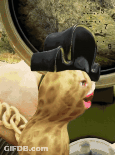 Bag Of Jumbo Peanut Flips Surrounded By Flowers GIF